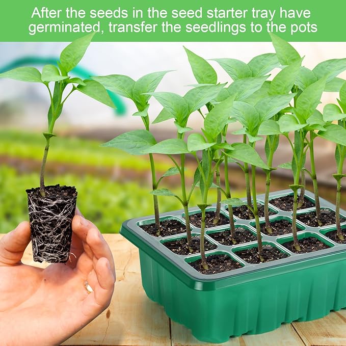Lunies 6 Packs Seed Starter Tray with Grow Light, Indoor Greenhouse Seeding Starter Trays for Planting, Base Gardening Plant Germination Kit, Seed Starter Kit with Humidity Domes, (12 Cells per Tray)-BloomoryGarden