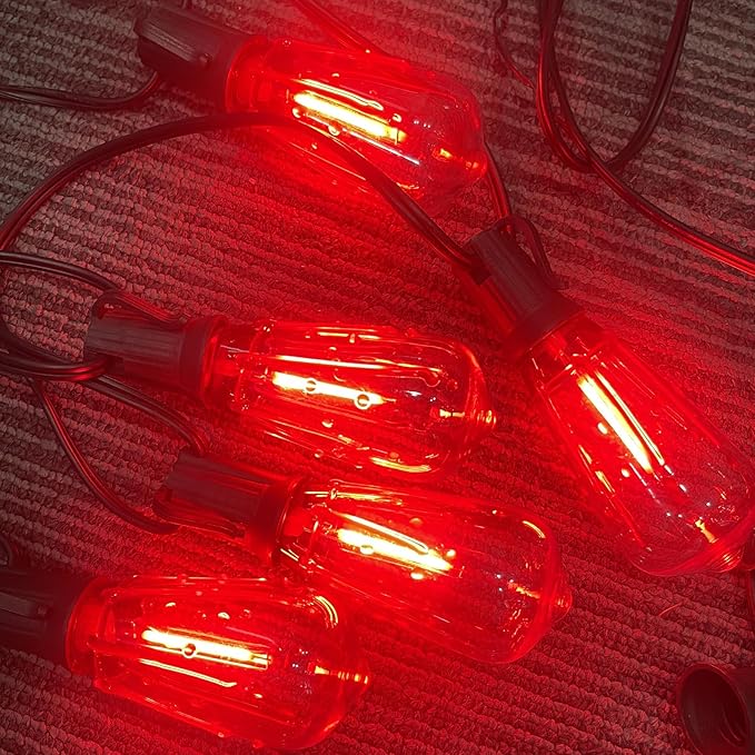 10Ft Halloween LED String Lights Outdoor with 10 ST40 Red Blood Drop Lights, UL Listed Connectable Halloween Patio Lights Set for Indoor Outdoor Backyard Garden Halloween Christmas Party Decor-BloomoryGarden