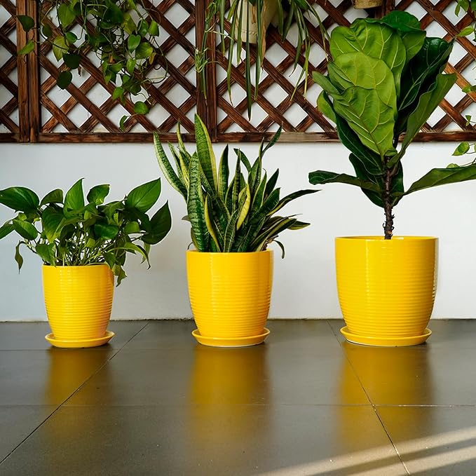 12 Inch Pots for Plants - Ceramic Planter for Indoor Plants Large Plant Pot with Drainage Hole and Saucer Round Outdoor Flower Pot for Garden Home Patio Office Yellow-BloomoryGarden