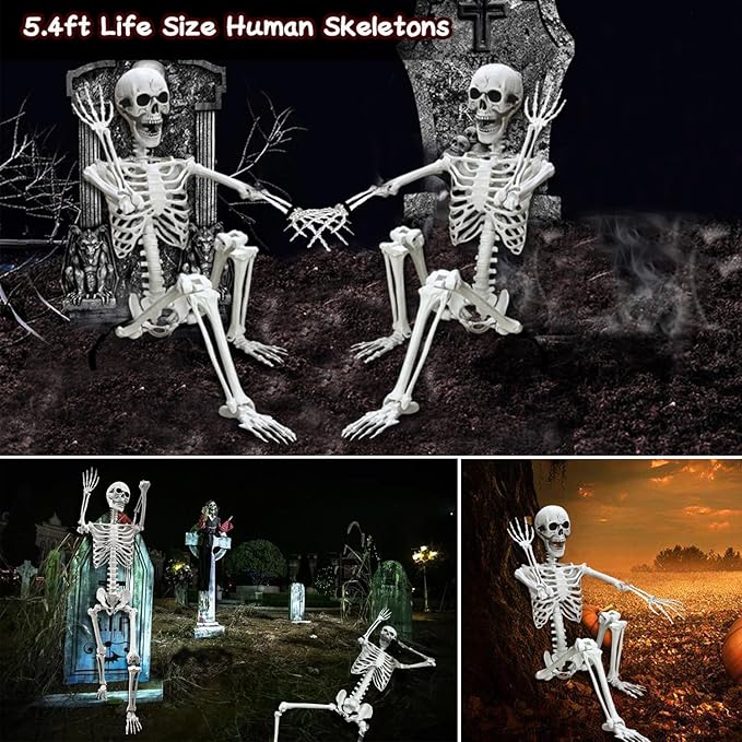 Lodou 5.4Ft Posable Life Size Human Adult Skeletons Plastic Human Bones with Movable Joints for Halloween Decoration-BloomoryGarden