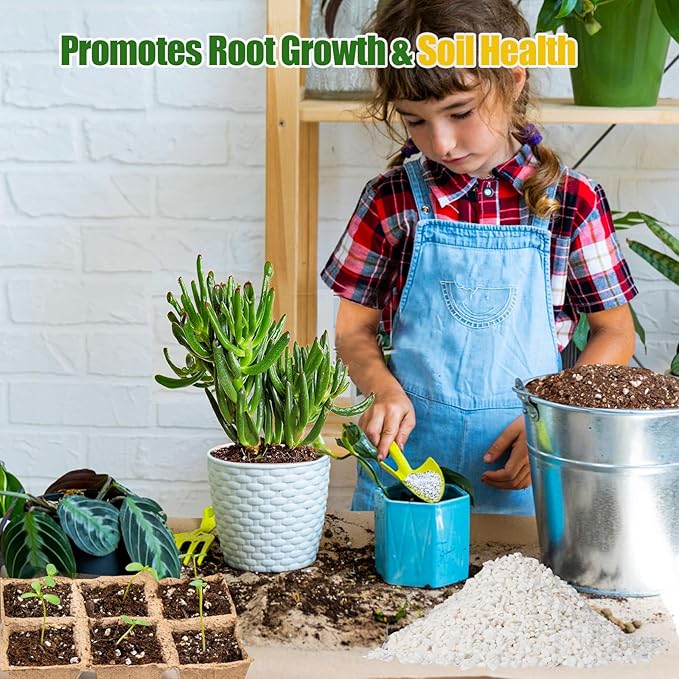 Horticultural Perlite for Plants 1qt, Natural Horticultural Soil Additive Conditioner Mix to Improve Soil Aeration & Dranage for Houseplant