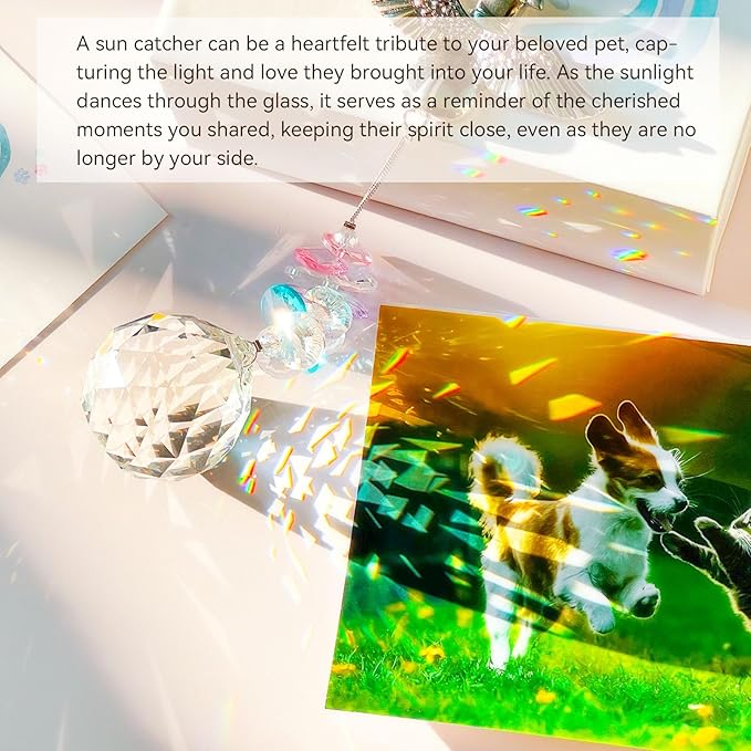 Loss of Dog Sympathy Gift - Dog Memorial Suncatcher, Pet Loss Crystals Prisms Rainbow Maker, Rainbow Bridge Dog Memorial Gifts, Passing Away Remembrance Sun Catcher, Pet Loss Bereavement Gift Idea-BloomoryGarden