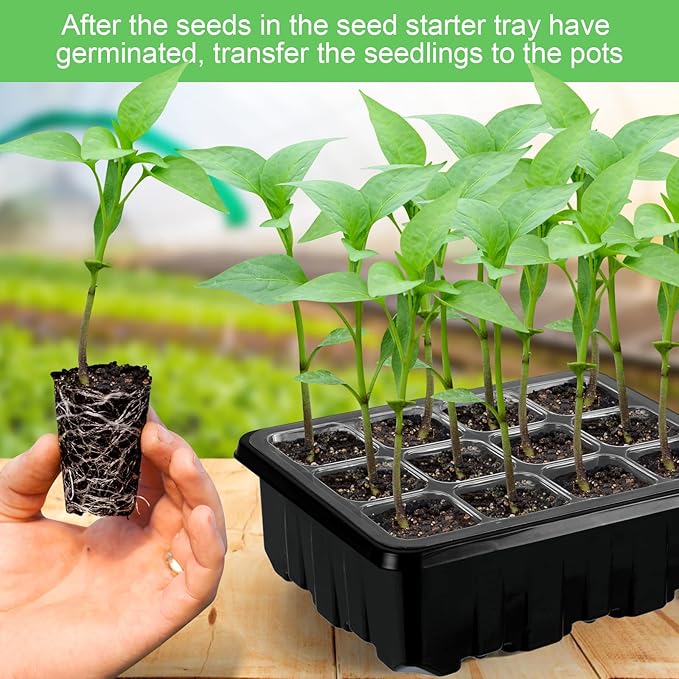 Lunies 6 Packs Seed Starter Trays with Grow Light, Seeding Starter Tray with Adjustable Humidity Dome, Base Indoor Greenhouse Germination Kit for Seed Growing Starting(12 Cells per Tray, Black)-BloomoryGarden