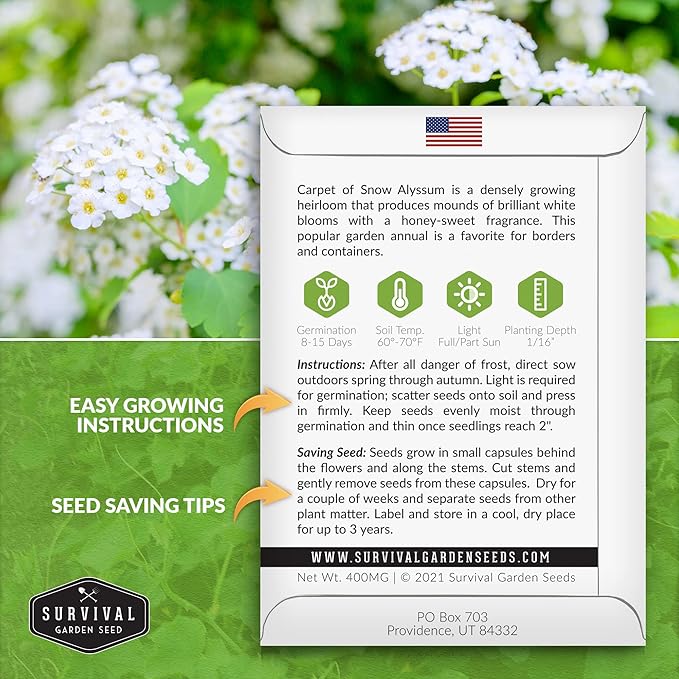 1 Pack Carpet of Snow Alyssum Seed for Planting with Instructions to Grow Lobularia Maritima in Your Home Flower or Vegetable Garden - Non-GMO Heirloom Lobularia Seeds - Survival Garden Seeds