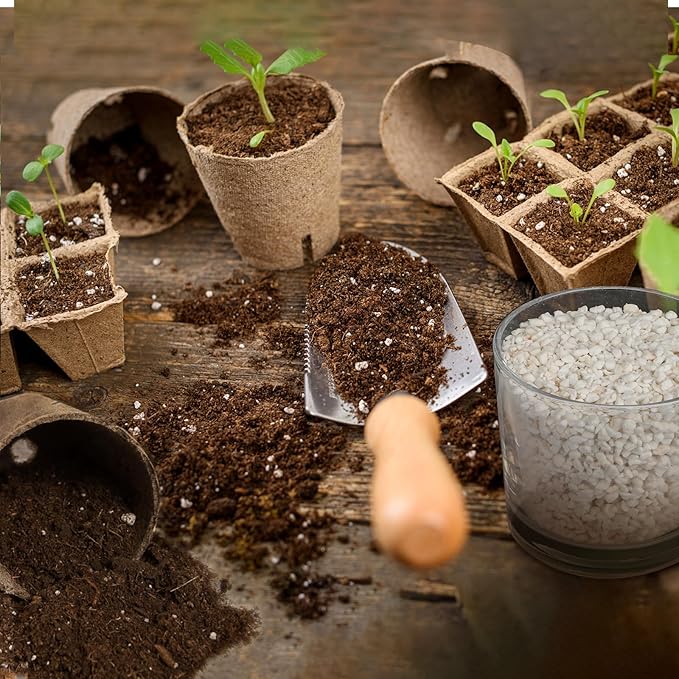 Horticultural Perlite for Plants 1qt, Natural Horticultural Soil Additive Conditioner Mix to Improve Soil Aeration & Dranage for Houseplant