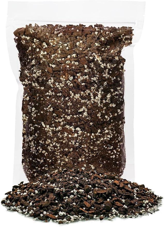 Hurricane Plant Planting Mix - Promotes Steady Growth and Lush Leaves - 10 Quart (2 Bags of 5 Quart)