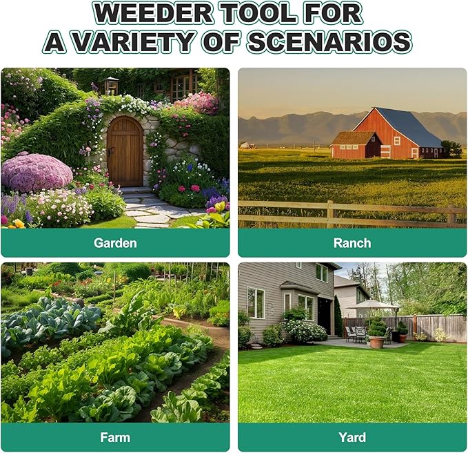 Berry&Bird Triangle Hoe, 60'' Winged Weeder Garden Hoes with Long Wood Handle, Gardener Stainless Steel Warren Hoe, Garden Weeder Hoe Tool for Quickly Weeding, Edging and Gardening Tools-BloomoryGarden