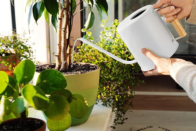 1.5 Liter Watering Can for Indoor Plants, House Plants, Flower Watering, Outdoor Plants - Small Metal Watering Can with Long Spout (White)-BloomoryGarden