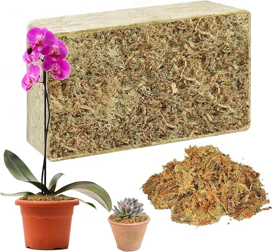 Hourleey 10.6 oz Sphagnum Moss for Plants, Premium Natural Long Fibered Dried Moss Potting, Sphagnum Peat Moss Bulk for Orchids Succulent Carnivorous Potted Plant Reptiles Medium Sarracenia