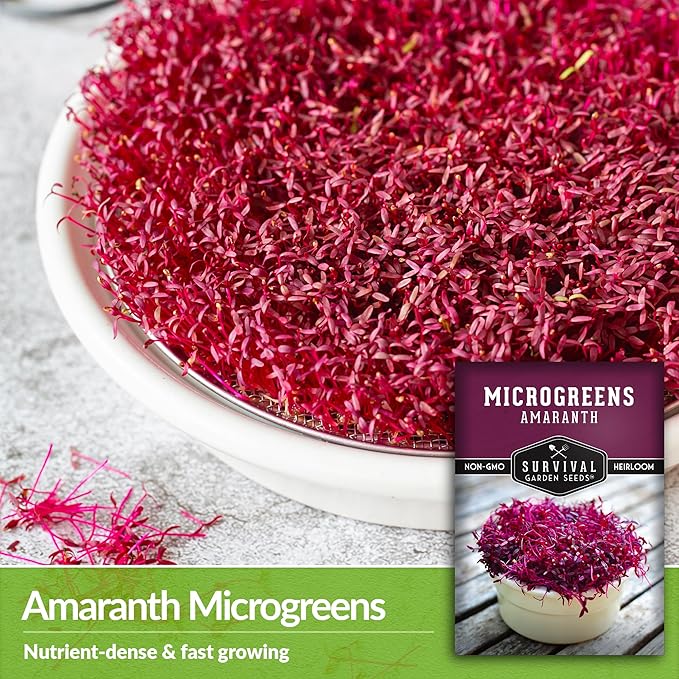 1 Pack Amaranth Microgreens Seeds for Planting and Growing - Plant Green Leafy Micro Vegetable Plants Indoors - Grow A Mini Windowsill Garden - Non-GMO Heirloom - Survival Garden Seeds