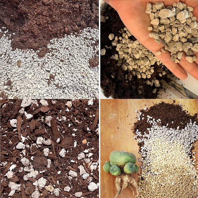 Horticultural Pumice for Plants Professional Sifted (5QT, 1/2 inch)