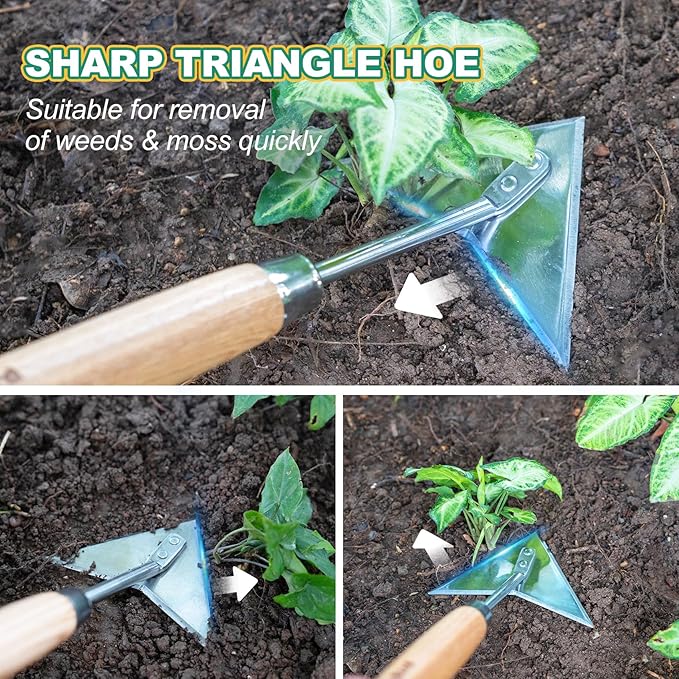 Berry&Bird Triangle Hoe, 60'' Winged Weeder Garden Hoes with Long Wood Handle, Gardener Stainless Steel Warren Hoe, Garden Weeder Hoe Tool for Quickly Weeding, Edging and Gardening Tools-BloomoryGarden