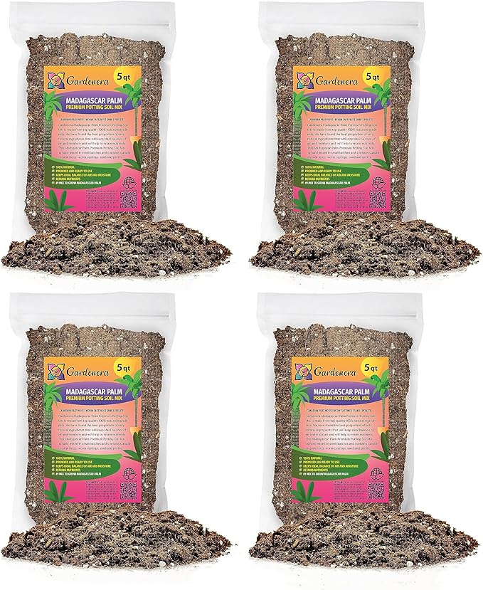 Madagascar Palm Potting Mix - Unlock Robust Growth and Striking Form with Our High-Performance Formula - 20 Quart-BloomoryGarden