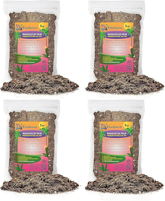 Madagascar Palm Potting Mix - Unlock Robust Growth and Striking Form with Our High-Performance Formula - 20 Quart-BloomoryGarden